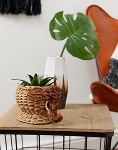 Цветочный горшок с дизайном в виде слона ASOS SUPPLY - Мульти