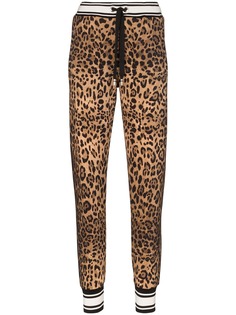 Dolce & Gabbana спортивные брюки с леопардовым принтом