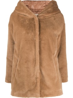 Herno hooded short jacket