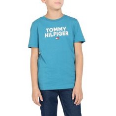 Футболка TOMMY HILFIGER KB0KB04992 светло-синий