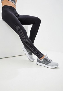 Тайтсы adidas