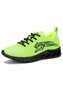 Кроссовки PLEIN SPORT