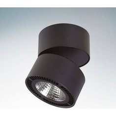 Точечный светильник Lightstar 214817