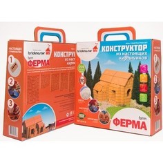 Конструктор Brickmaster Ферма 229 деталей (207)