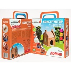 Конструктор Brickmaster Домик 99 деталей (302)