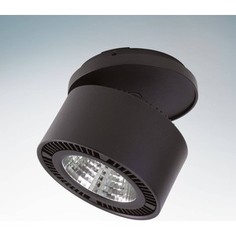 Точечный светильник Lightstar 214807