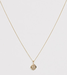Ожерелье из позолоченного серебра с подвеской Regal Rose - Золотой