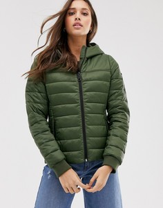 Дутая куртка оливкового цвета Hollister - Зеленый