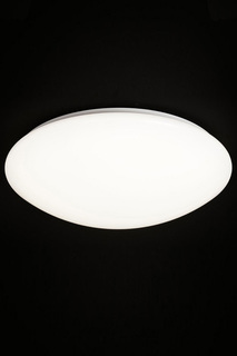 Светильник настенно-потолочный Natali Kovaltseva