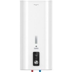 Накопительный водонагреватель Timberk SWH FEX1 100 V