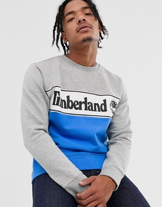Свитшот с логотипом Timberland - Мульти