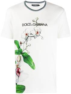 Dolce & Gabbana футболка с принтом