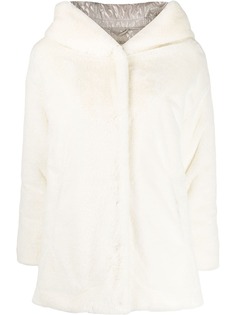 Herno hooded short jacket