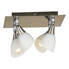 Спот Frank 5451-4 Globo