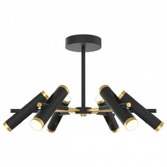 Люстра на штанге Duplex 2324-12U Favourite