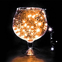 Гирлянда Нить (10 м) LED-TL-100 303-151 Neon Night