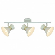 Спот Baltimore A1406PL-3WG Arte Lamp