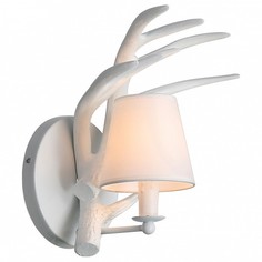 Бра Catorene SL346.501.01 St Luce