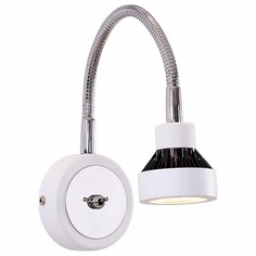Бра Данди CL557311 Citilux