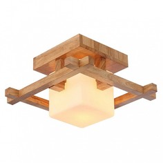 Накладной светильник Woods A8252PL-1BR Arte Lamp