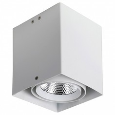 Накладной светильник Flashled 1986-1U Favourite