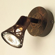 Спот Винон CL519514 Citilux