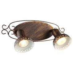 Спот Focus A5219AP-2BR Arte Lamp