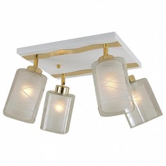 Спот Прима CL160142 Citilux