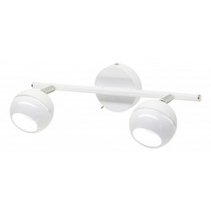 Спот Раймонд CL555520 Citilux