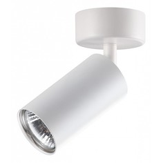 Спот Pipe 370394 Novotech