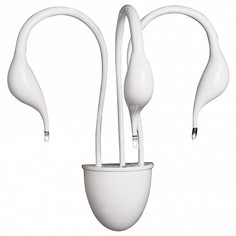 Бра Cigno Collo 751636 Lightstar