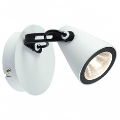 Спот Loft LSN-4101-01 Lussole