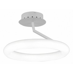 Светильник на штанге Albo SL902.592.01 St Luce