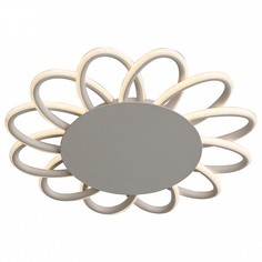 Потолочная люстра Camomilla SL828.502.12 St Luce