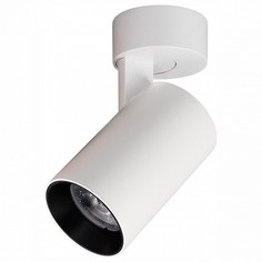 Спот Тубус CL01B070 Citilux