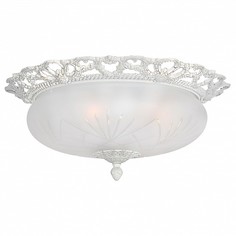 Накладной светильник Venezia E 1.13.46 BW Arti Lampadari