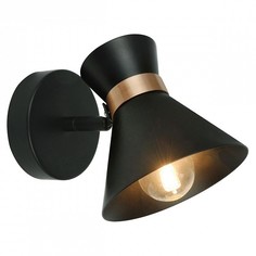 Спот Baltimore A1406AP-1BK Arte Lamp