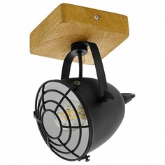 Спот Gatebeck 49076 Eglo