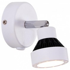Бра Данди CL557511 Citilux