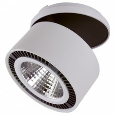 Спот Forte Inca LED 213820 Lightstar