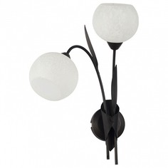 Бра Bagheria GRLSF-6291-02 Lussole