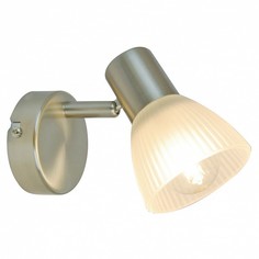 Спот Parry A5062AP-1SS Arte Lamp