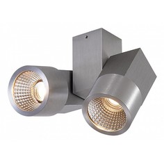 Светильник на штанге Дубль CL556101 Citilux