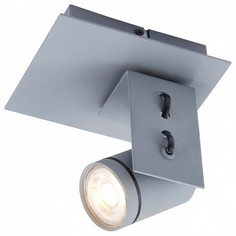 Спот Dillingham LSP-8022 Lussole