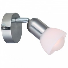 Спот Falena A3115AP-1SS Arte Lamp
