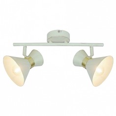 Спот Baltimore A1406AP-2WG Arte Lamp