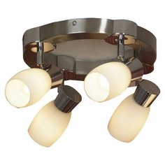 Спот Scalera LSQ-2601-04 Lussole