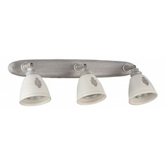 Спот Agnes SP289-CW-03-BG Maytoni