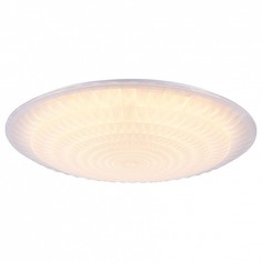 Накладной светильник Laura FR6688-CL-L60W Freya