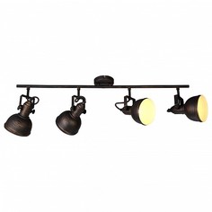Спот Martin A5215PL-4BR Arte Lamp